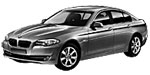 BMW F10 C200D Fault Code